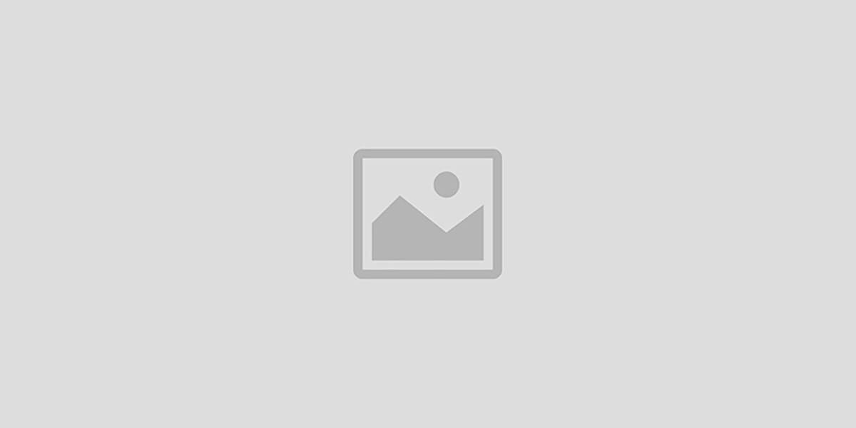 Wish Picks promo